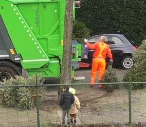 Inzameling kerstbomen aan huis